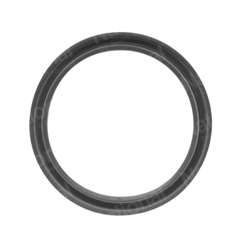 6481-NT